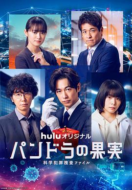 资阳seo优化哪里好